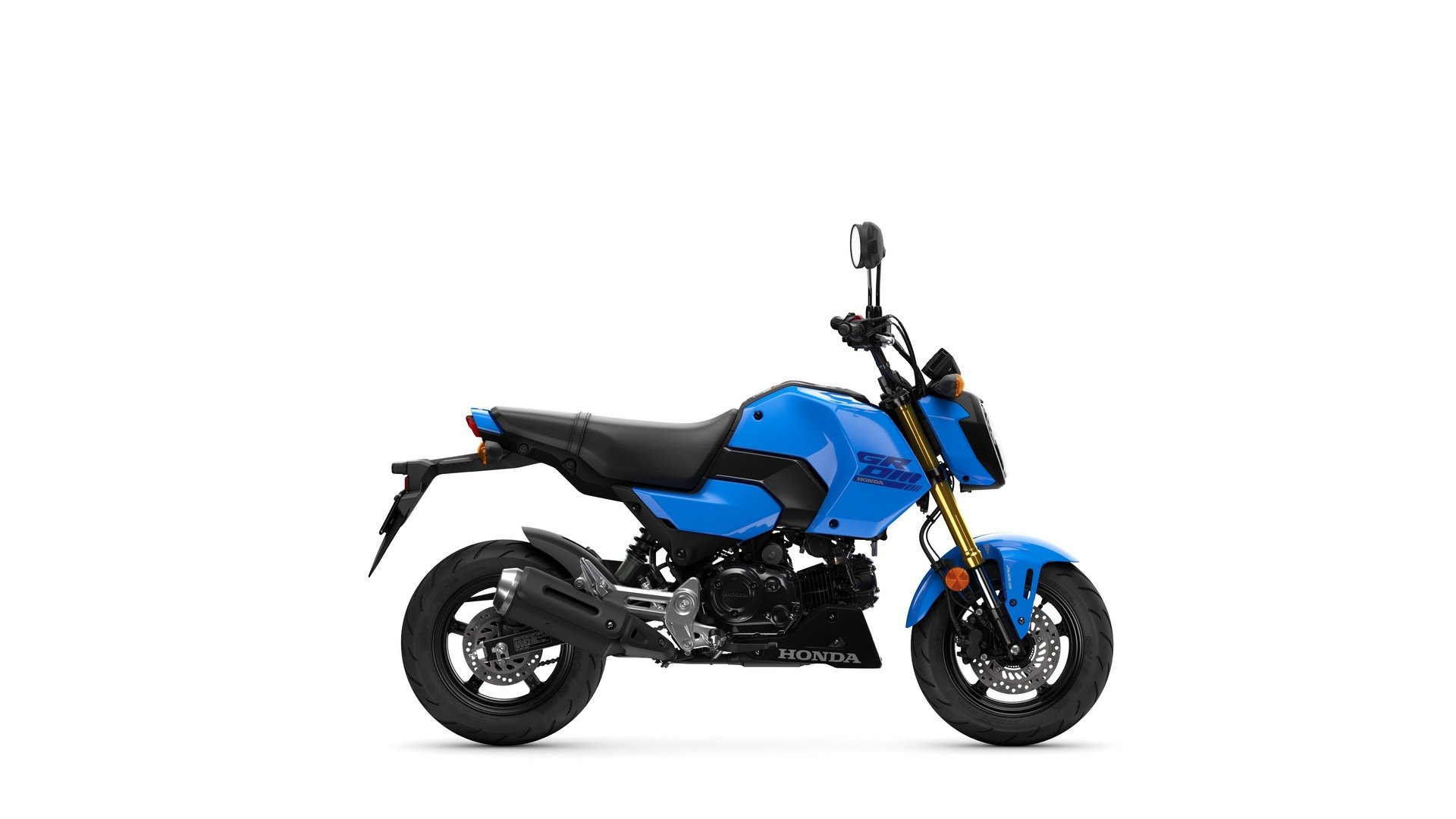 HONDA MSX 125 Grom kaufen — bei Honda Motorrad Zürich in Volketswil