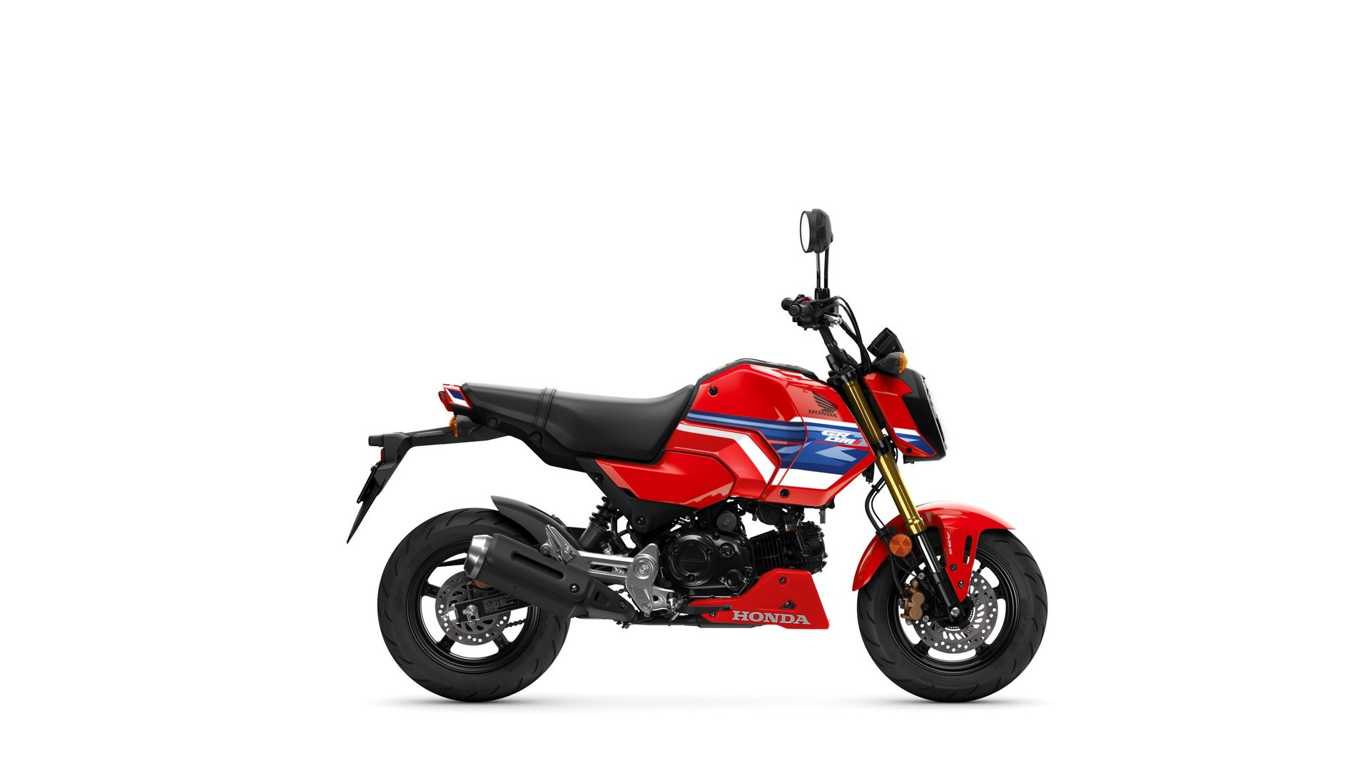 HONDA MSX 125 Grom kaufen — bei Honda Motorrad Zürich in Volketswil