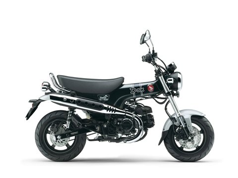 HONDA ST 125 Dax Modelljahr 2025 - Leichtkraftrad 125 als Neufahrzeug ab Lager Zürich