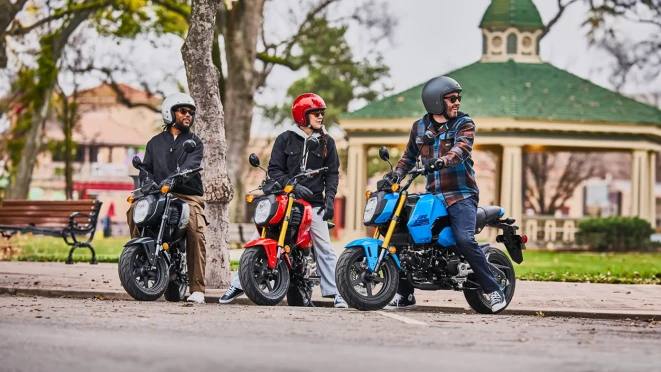 Honda MSX125 Grom – Mini-Street Motorrad 125 ccm in Volketswil bei Zürich