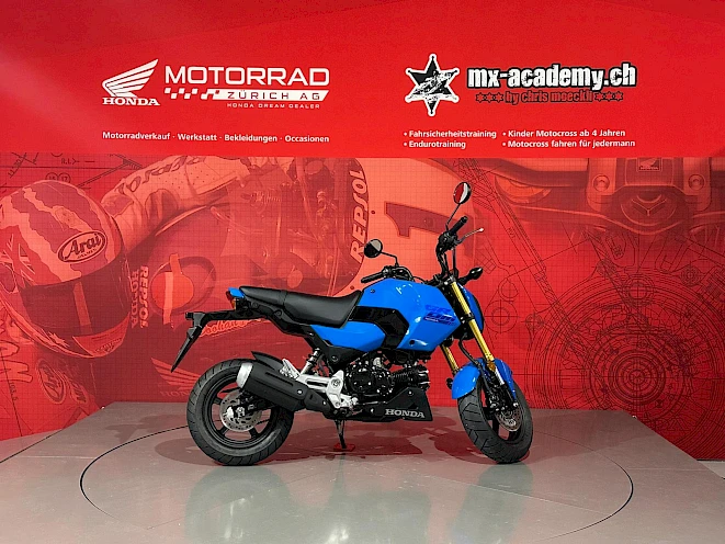 Blue Honda MSX125 Grom in the showroom of Motorrad Zürich AG – light motorcycle new from stock