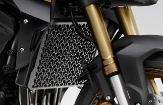 Streetfighter CB1000 Hornet mit Aluminium-K&uuml;hlerschutz aus dem Honda Original-Zubeh&ouml;r